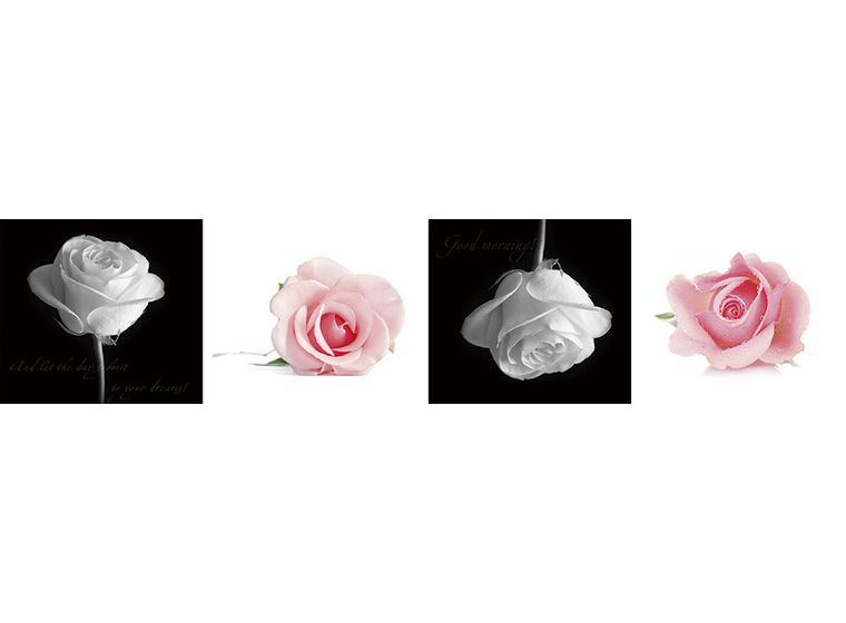 Кухонная панель SP 264