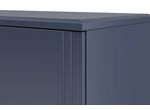ДЖАЛИ Шкаф для одежды ШР-4 (лак темный лазурный)